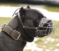 Heavy Duty Wire Basket Dog Muzzle for Cane Corso